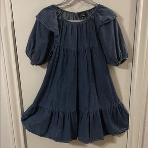 Vici Chambray Puff Sleeve Denim Blue Casual Dress